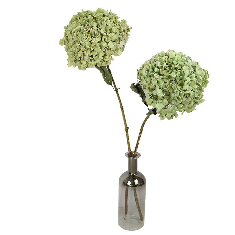 云南绣球干花永生花真花花诉