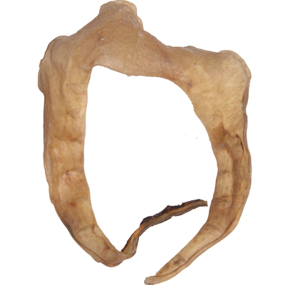 大片甲鱼裙边干酒店干货