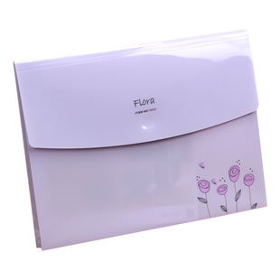 树德FB205文件袋A4文件包收纳袋资料试卷包透明单层票据袋档案袋