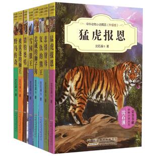 8册沈石溪动物小说全集中外动物小说第一季悲情豺母猛虎报恩复仇的熊王忠诚的狮子狗悲情豺母雪国狼王野马传奇安徽少年儿童出版社