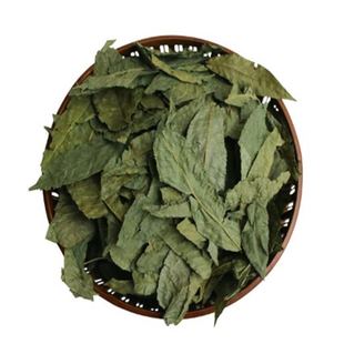 青钱柳茶叶原叶张家界金钱柳茶250克