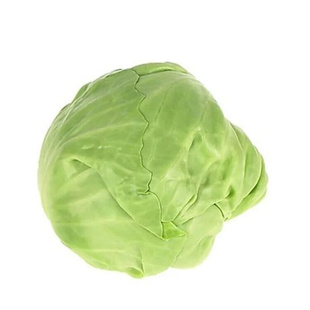 新鲜现摘 卷心菜 绿甘蓝 包心菜莲花白 球白菜 瓜菜蔬菜4~5斤包邮