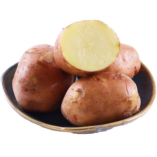 云南红皮黄皮黄心土豆农家自种蔬菜新鲜中土豆马铃薯洋芋9斤包邮