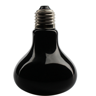 爬虫陆龟箱加热灯陆龟蜥蜴蜘蛛加温灯泡夜灯加热器宠物鸟保温箱子