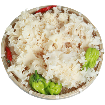 新鲜绣球菌旗舰店出口级当天采摘