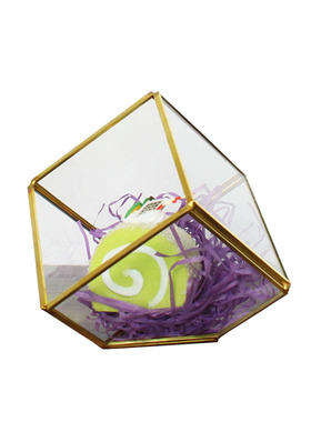 玻璃罩几何多肉永生花礼盒工艺品