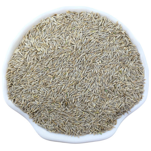 生菜籽中药材新货生菜子白巨胜子干货白巨胜籽白苣胜莴苣子可打粉