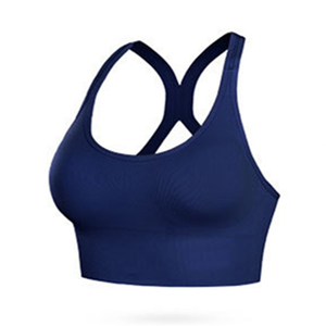 运动文胸新款网红后排扣可调节无钢圈胸罩防震健身背心运动内衣女