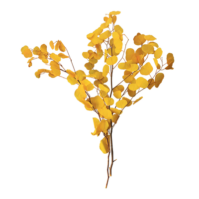 天然植物干花北欧轻奢搭配秋色