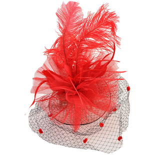 欧美夸张驼鸟毛羽毛头饰新娘 舞台演出网纱头花面纱发饰发夹发卡