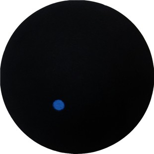 单蓝点壁球专业训练快速初学者进阶比赛squash球方灿FANGCAN入门