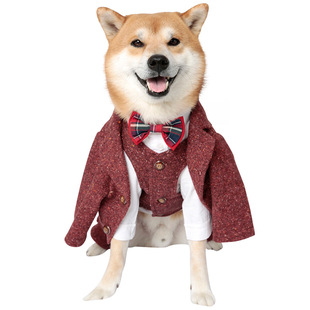 宝眷宠物衣服新年装春季小型犬过年网红狗狗衣服泰迪红色喜庆西装