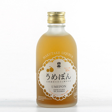 日本进口10度白岳桔味300ml梅子酒1