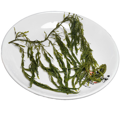 山东威海荣成盐渍马尾藻海藻海草鞭炮笋裙带菜海白菜凉拌火锅食材