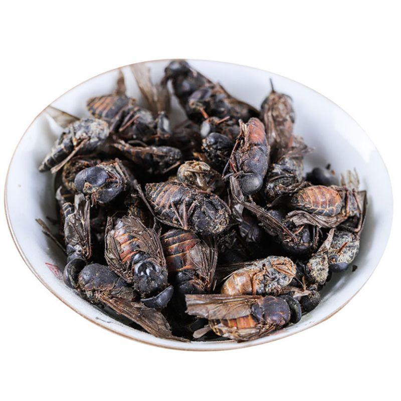 正品无硫大虻虫中药材可磨粉