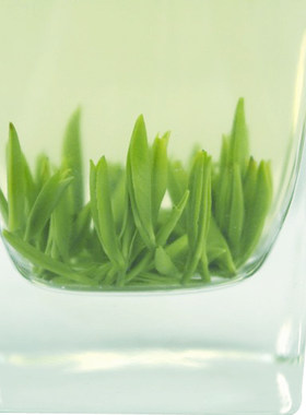 2026年新茶四川峨眉山绿茶250g