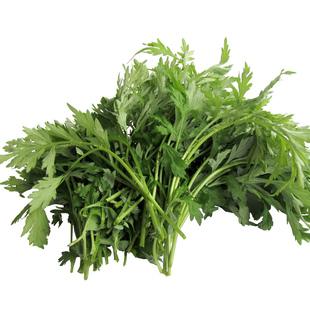 新鲜生艾叶草艾食用青团清明菜粑粑糍粑清明草嫩野菜艾蒿米果批发