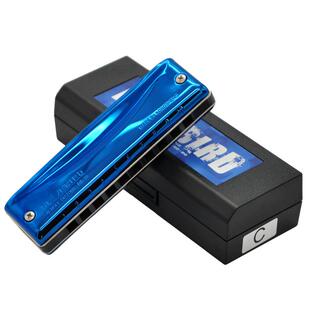 孔声10孔布鲁斯口琴蓝鸟RE-20 十孔蓝调专业初学成人演奏高级口琴