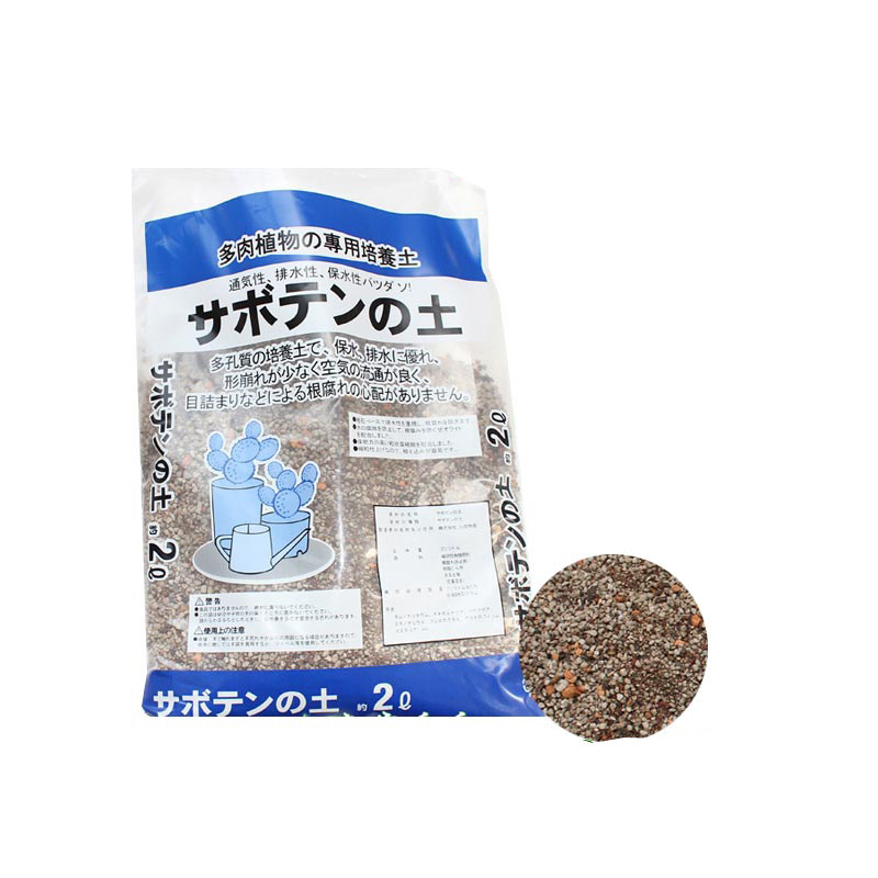 多肉植物仙人掌颗粒包邮