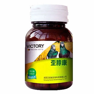 汉诺威歪脖康新城疫鸽瘟沙门歪转圈歪头摇头鹦鹉非鸽药鸽子药