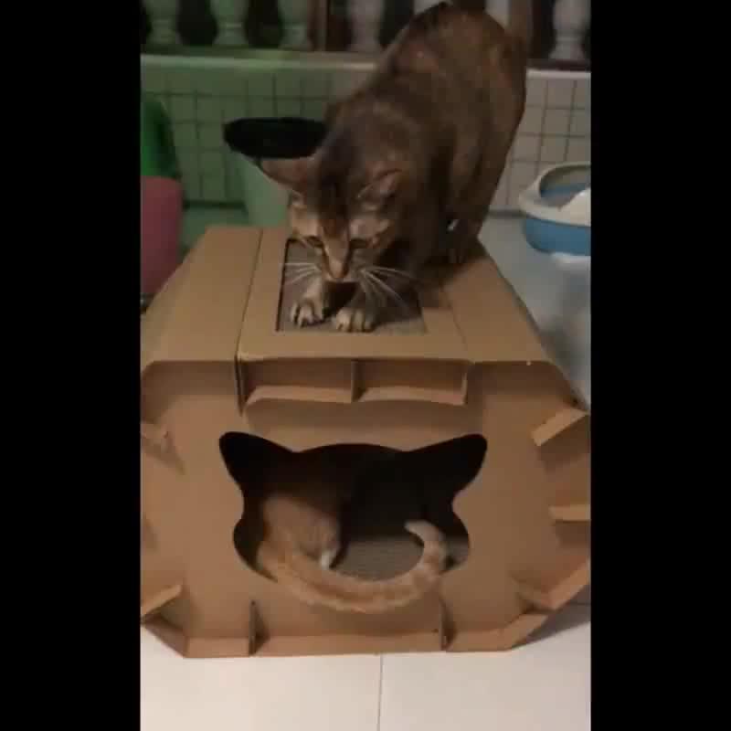 Top Selling Firmly Durable Indoor Cardboard Cat House With Cardboard