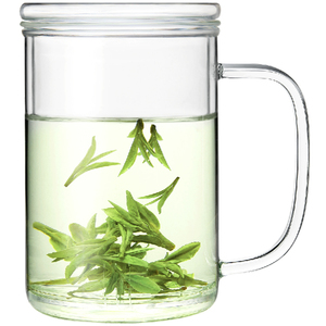 雅集玻璃杯直觉杯创意带盖过滤透明茶杯带把办公水杯大水杯