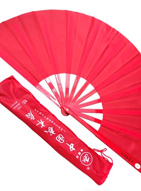 青龙牌中国武术太极扇广场舞晨练