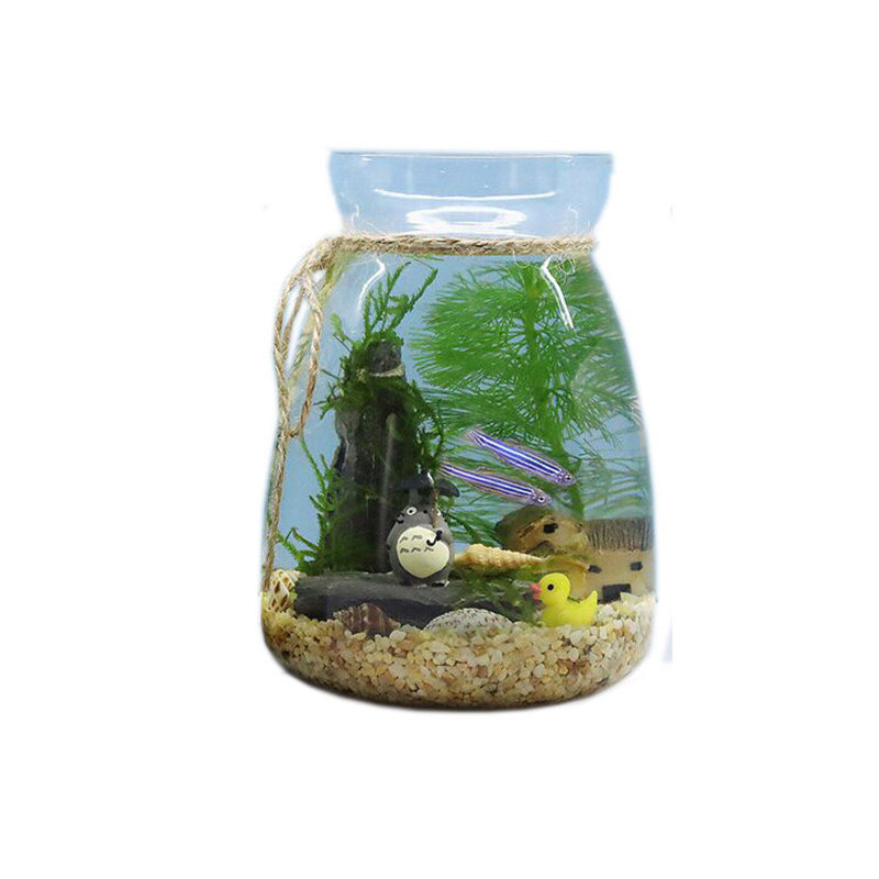 创意生态鱼瓶微景观水族箱生态缸斗鱼缸免换水冷水小型迷你鱼缸