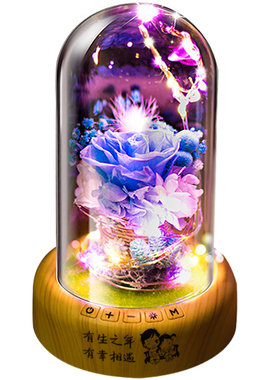 情人节生日礼物送女友浪漫纪念日
