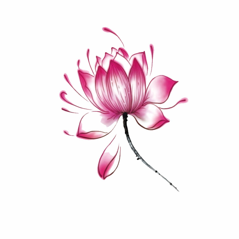 【100张套装】纹身贴防水女持久玫瑰花蝴蝶胸前ins风彩妆套装遮疤