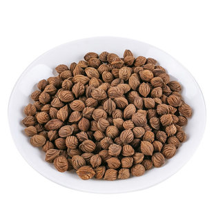 龙纹桃核打好孔的龙纹桃核野生桃核原料桃核原籽小龙纹散籽包邮