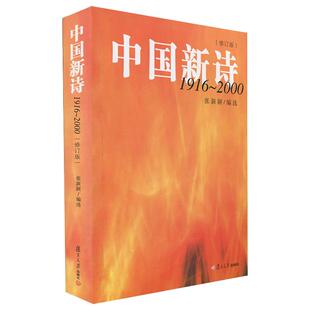 中国新诗1916-2000 第2版 张新颖  复旦大学出版社 图书籍