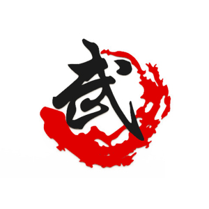 亚克力武馆培训中心背景墙装饰