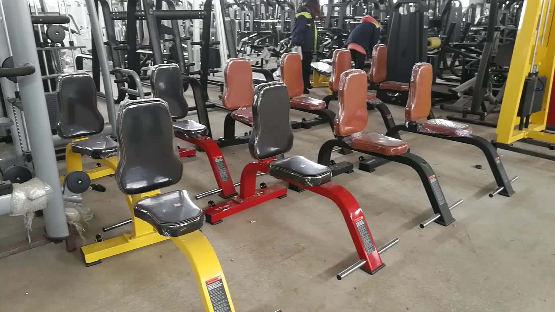 Minolta Fitness Most Popular Commercial Gym Equipment Leg Extension