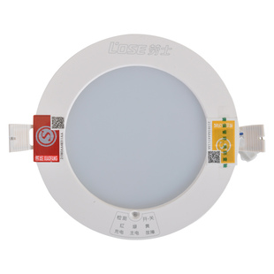 劳士消防应急筒灯LED应急灯嵌入式停电应急照明灯吸顶灯应急射灯