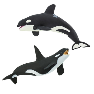 仿真杀人鲸玩具Safari正品海洋生物成年逆戟鲸静态虎鲸模型摆件