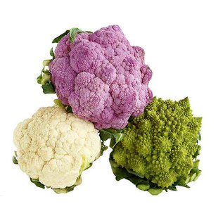 花菜种籽宝塔菜罗马花椰菜菜花菜籽花苗四季春季蔬菜种子种孑