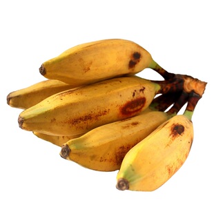 热带野生粉蕉米蕉加大芭蕉 加有机肥香蕉生鲜水果组合5斤包邮