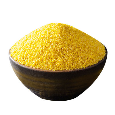 草原特产大黄米营养健康