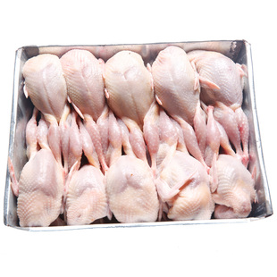 100只装大母鹌鹑新鲜鹌鹑肉速冻白条烧烤生骨肉现杀整箱全国包邮