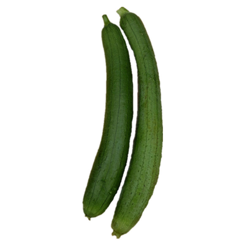 现摘新鲜蔬菜丝瓜鲜嫩