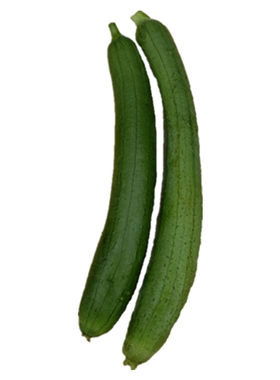现摘新鲜蔬菜丝瓜鲜嫩