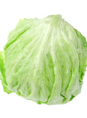 新鲜球生菜西生菜沙拉蔬菜