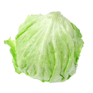 新鲜球生菜西生菜沙拉蔬菜