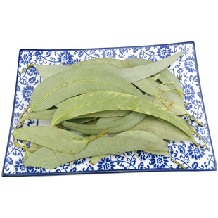 桉叶 中药材 桉树叶 橡树叶 大桉叶 蓝绿桉叶 按叶安叶 500克包邮