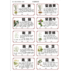 2020年中药标签贴彩色新版规范正名不干胶980 味草药贴纸通用斗谱