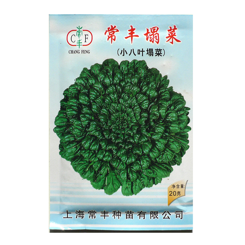 常丰小八叶塌菜乌塌菜种子春季秋季冬季耐寒千叶菜塌棵菜菜子蔬菜