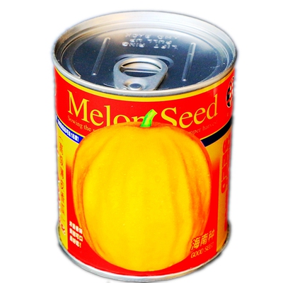 早熟甜瓜种子海南金品丑八怪