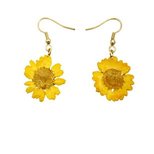 洋洋的森林原创手作青春度假外景拍摄雏菊真花永生花耳环镀金耳夹