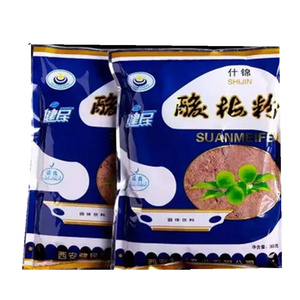 陕西特产，西安健民酸梅粉305g*2袋什锦酸梅汤浓缩饮料果汁乌梅